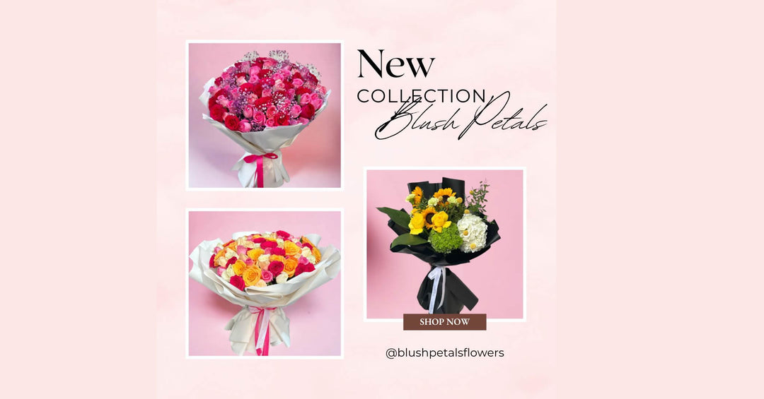 Unveiling Our New Collection with Exclusive Offers!
