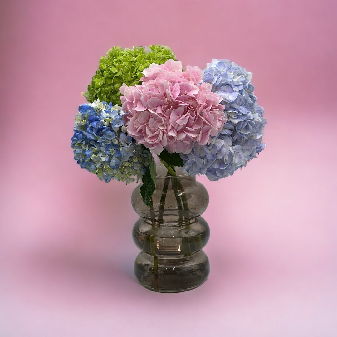 4 Mix colors hydrangea in Vase