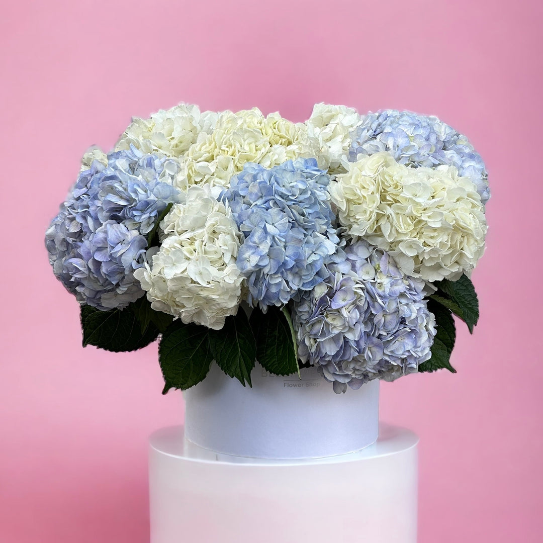 hydrangea Box Bouquet 