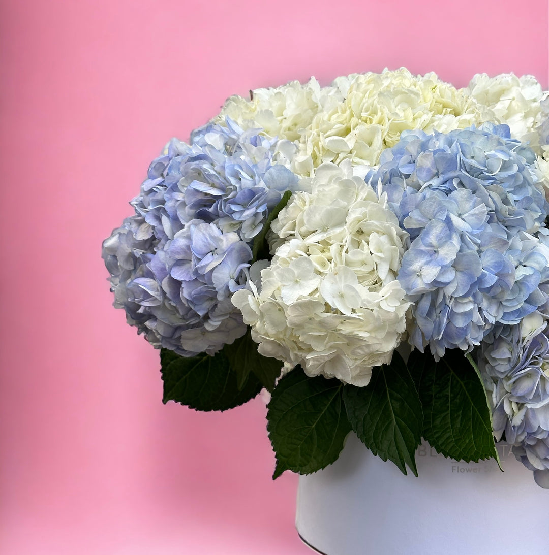 hydrangea Box Bouquet dubai