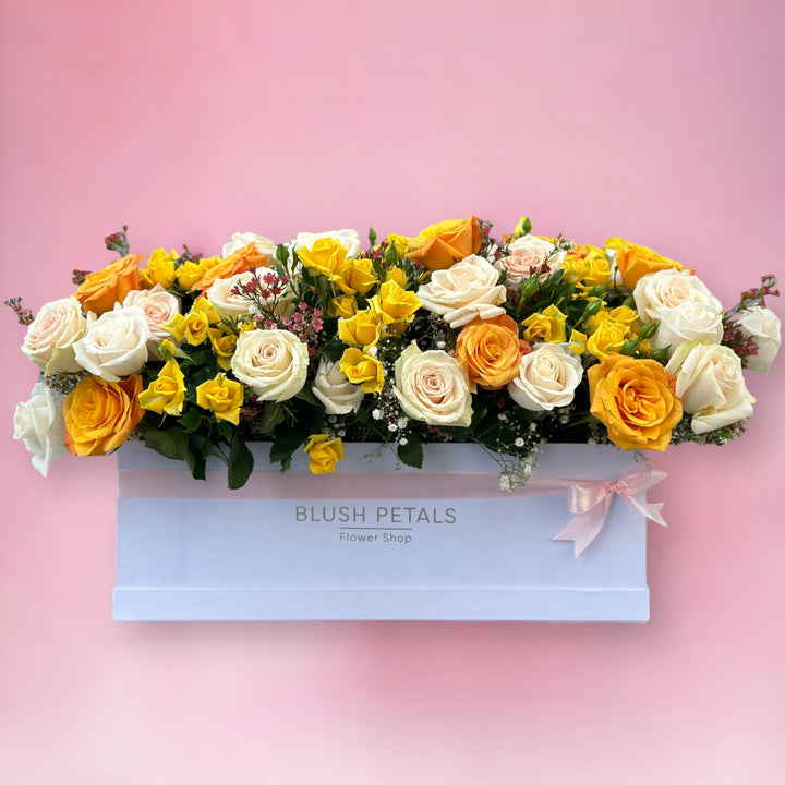 SUNSHINE BOX