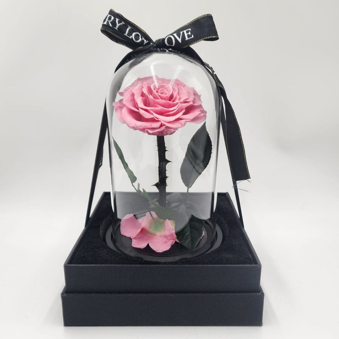 Forever Rose Pink - Rose in Glass Dome