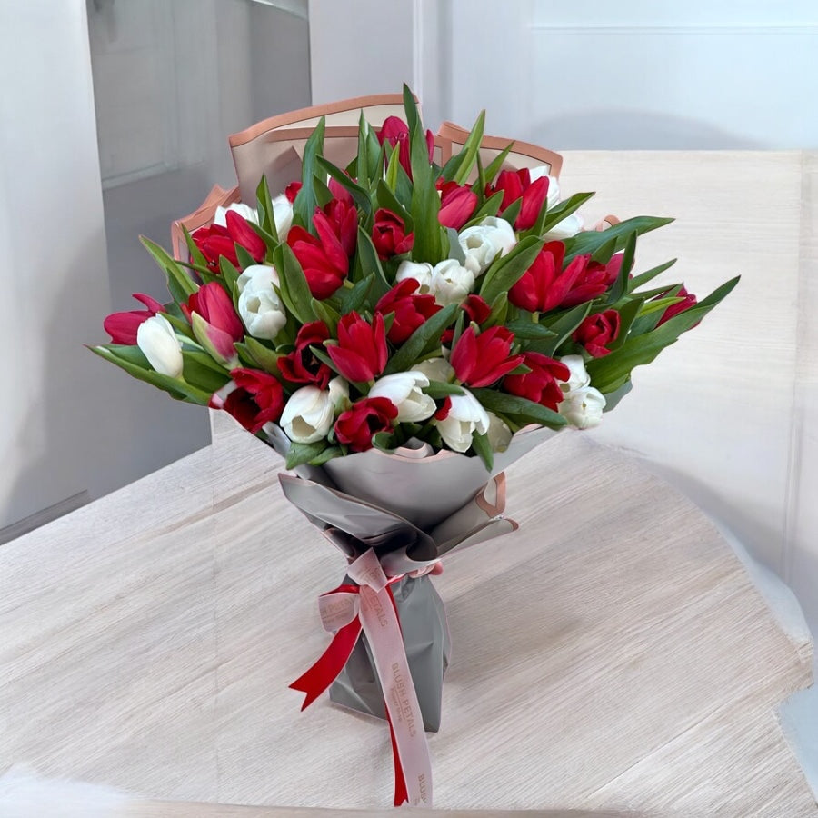 White and red tulip