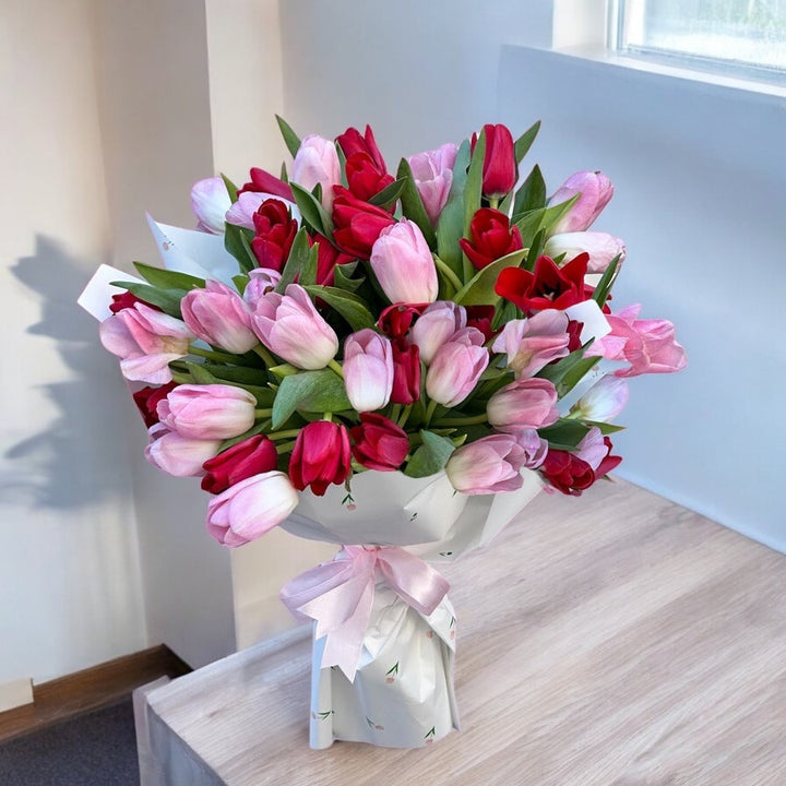 Pink and red tulip