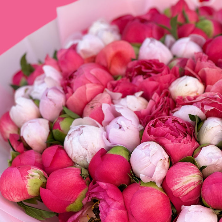 Peonies flower shop Dubai
