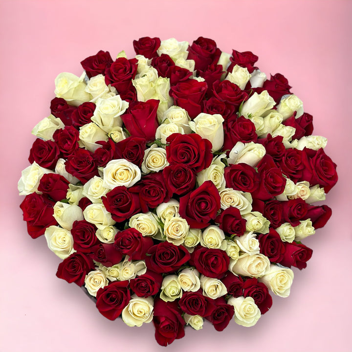 Diamond darlings box