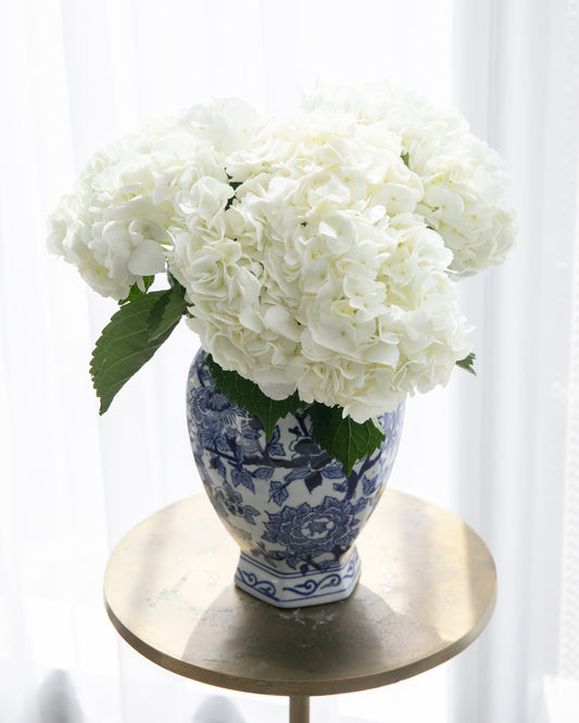 White Hydrangea Stems