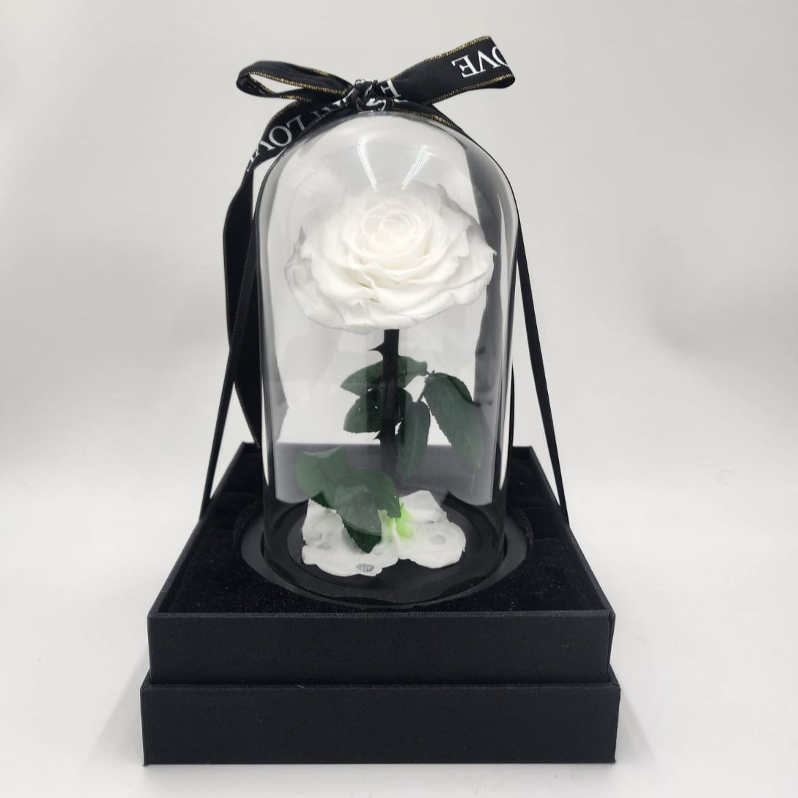 White Rose in Glass Dome