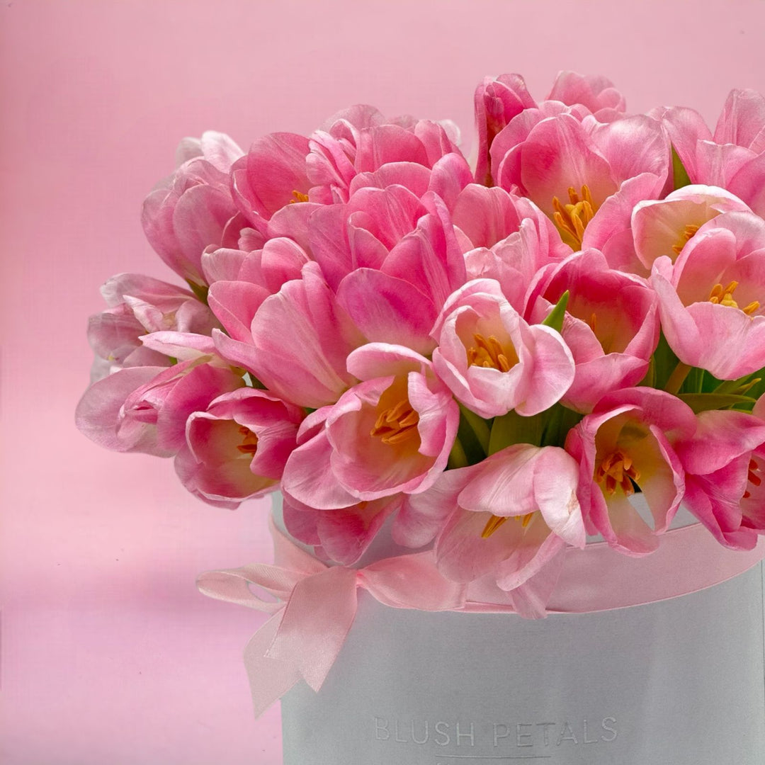 41 pink tulip