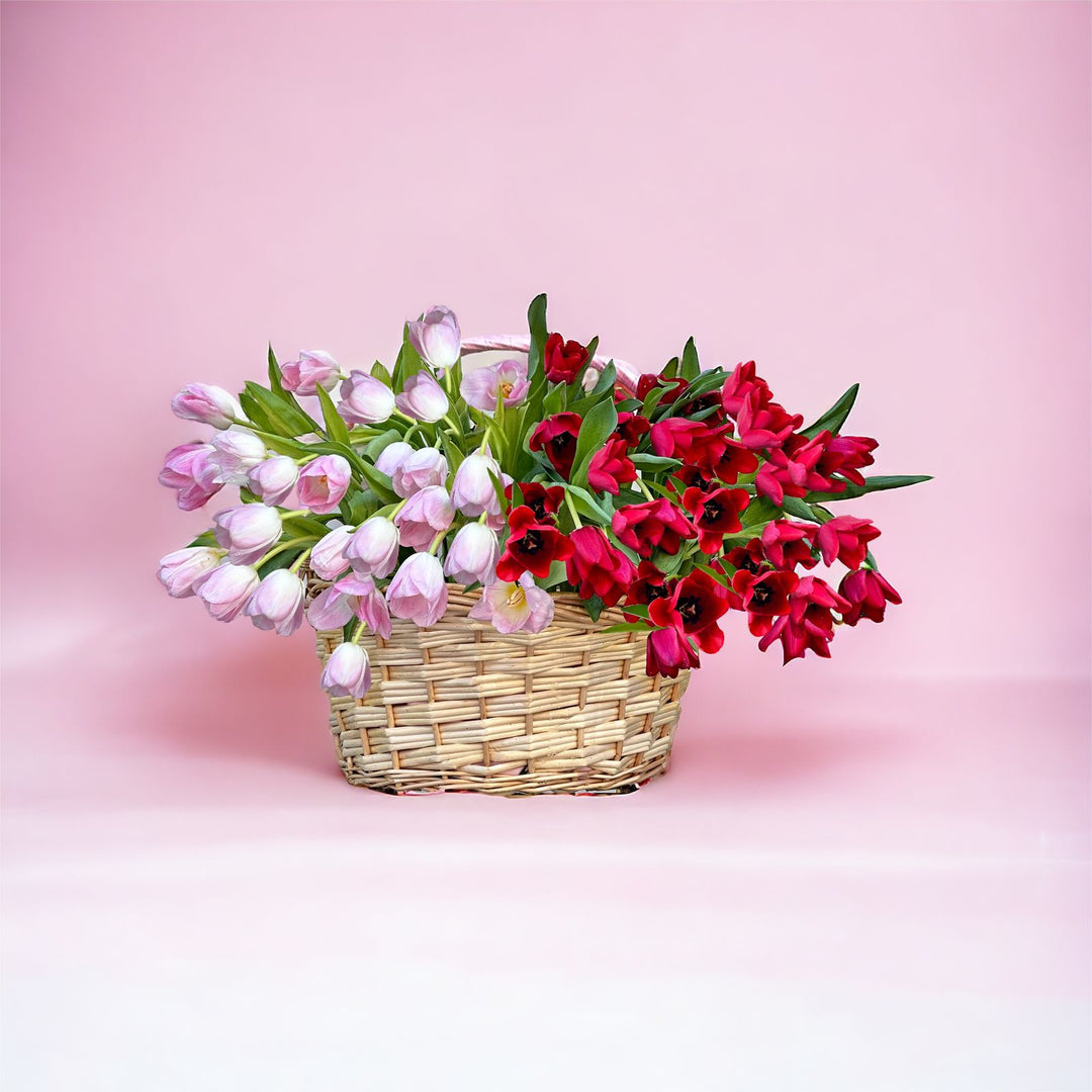 Pink and red tulip in big basket