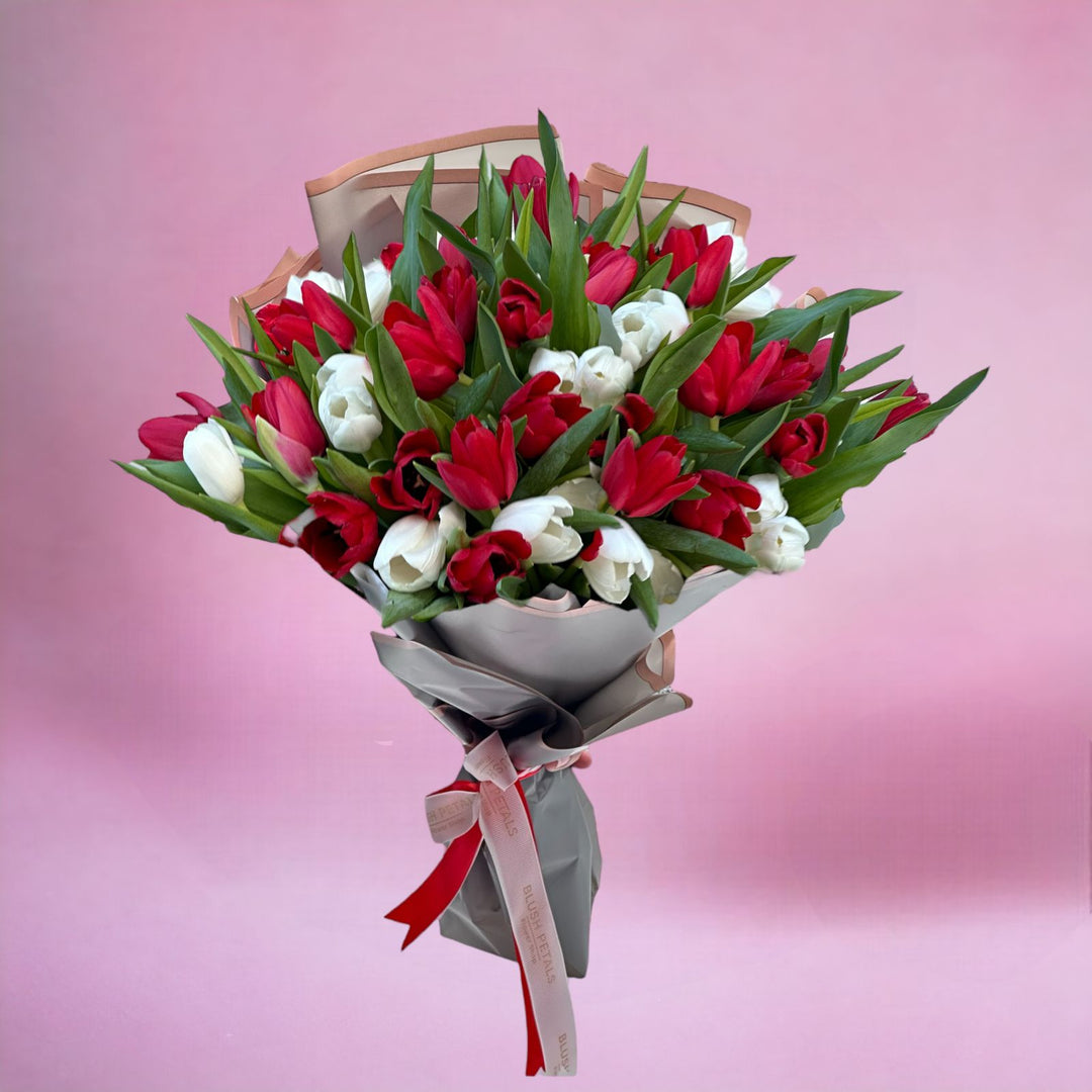 41 white and red tulip