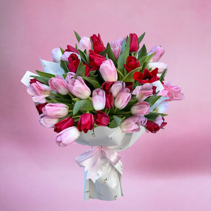 51 Pink and red  tulip