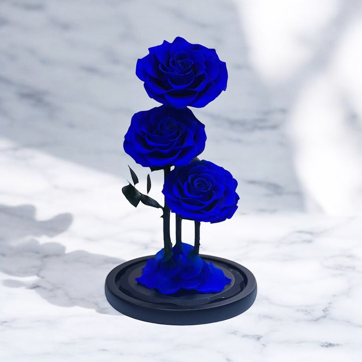 Forever rose Blue Triple