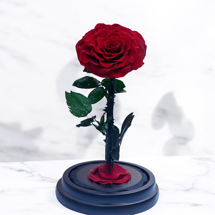 Forever rose red single 25cm