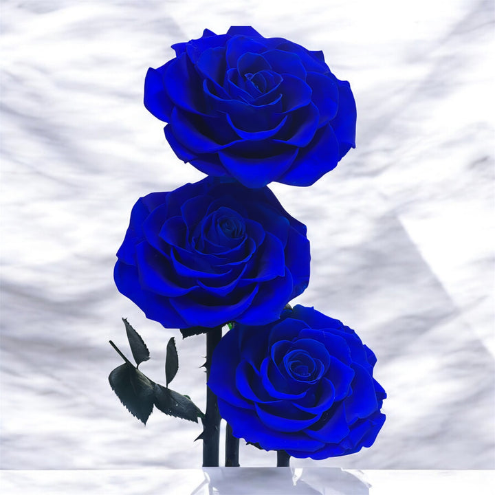 Forever rose Blue Triple