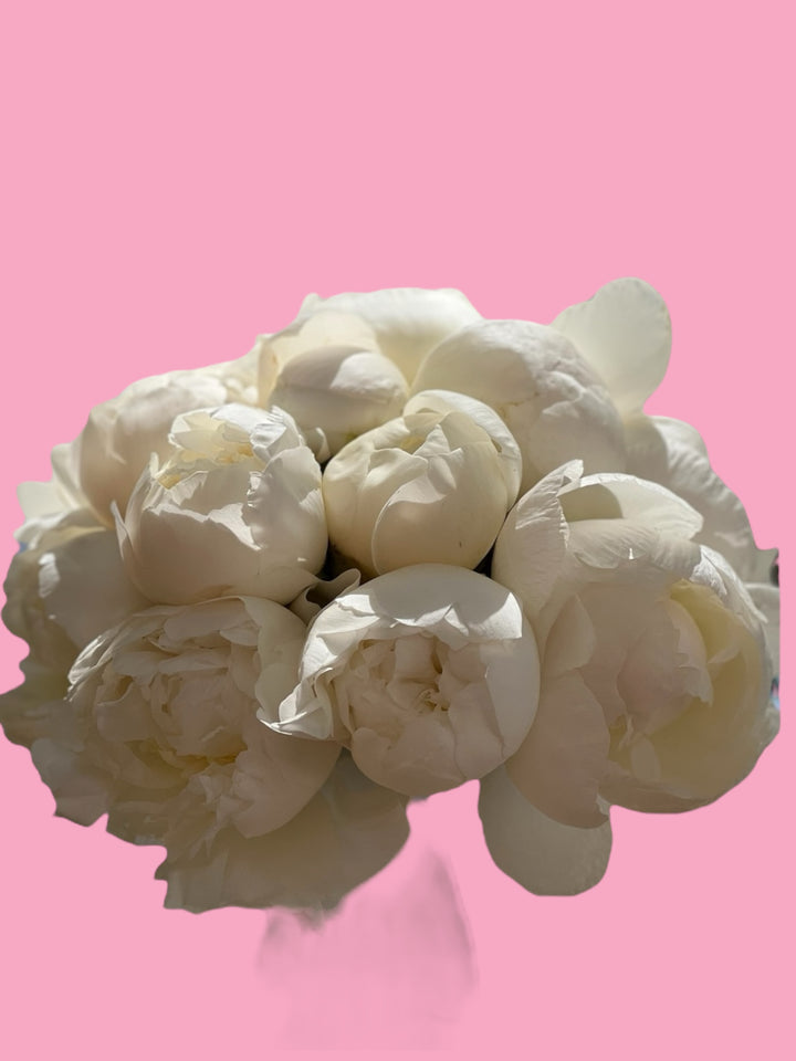 Peony bridal bouquet