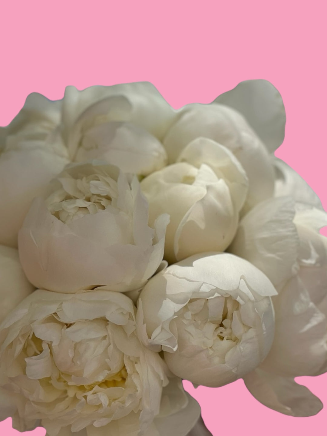 Peony bridal bouquet